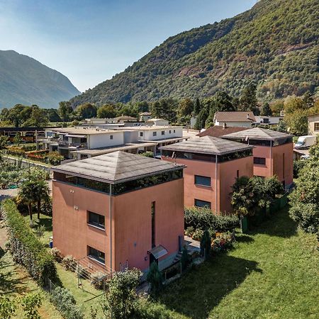 Splendido Attico Per Chi Ama Escursioni Nella Natura Appartement Grono Buitenkant foto